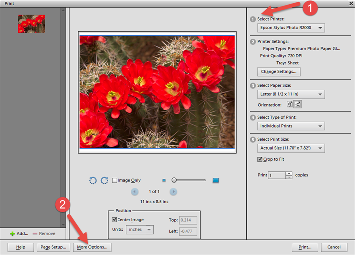 how-to-use-icc-color-printer-profiles-photoshop-elements-11-12-13-windows