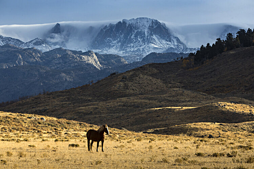 Wyoming Landscape