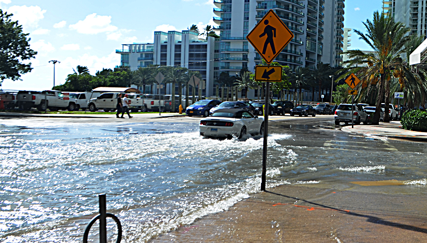 Street flood at high tide