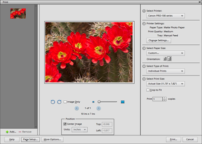 Print photos in Photoshop Elements