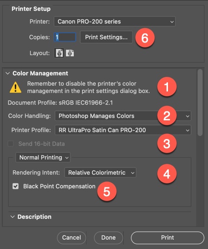 canon printer profiles for photoshop download