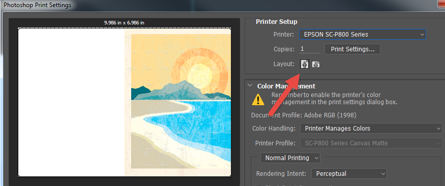 correct settings for a mac to print to an epson 9900 from photoshop