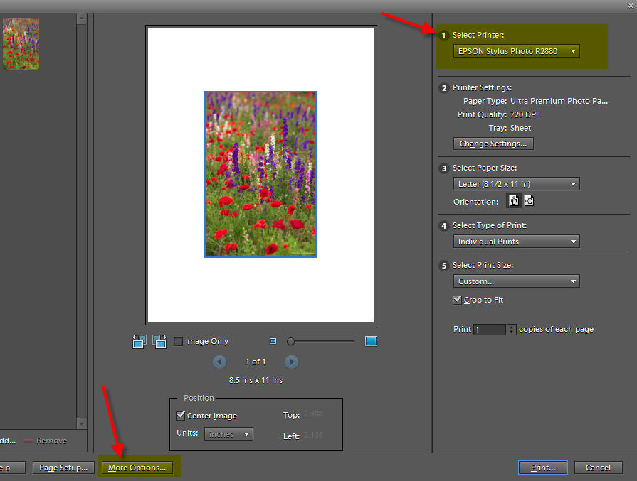 How To Use Inkjet Printer Profiles Photoshop Elements 10 Windows