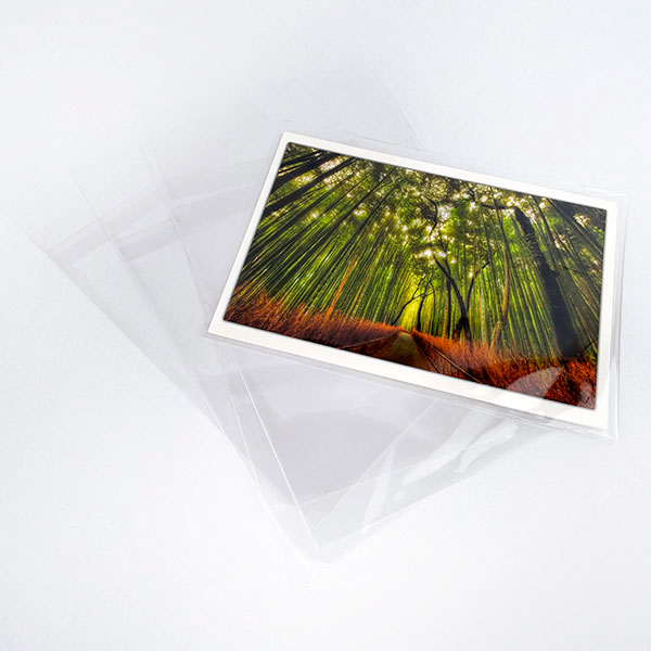 Clear Greeting Note Card Display  Bags A7  / 100